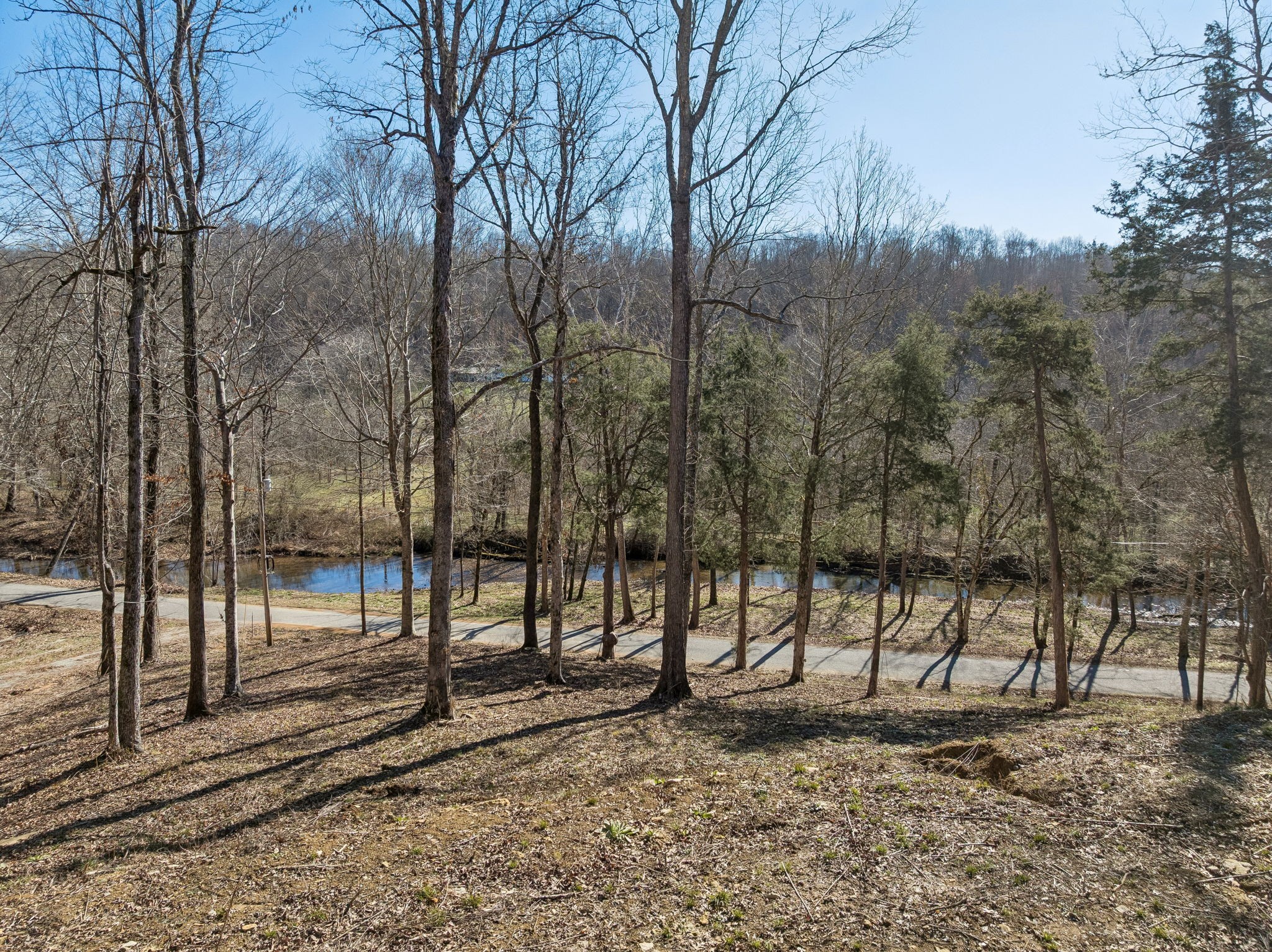 0 Hurricane Creek Road Linden, TN 37096 - Photo 4 of 38 a backyard of a house with lots of green space