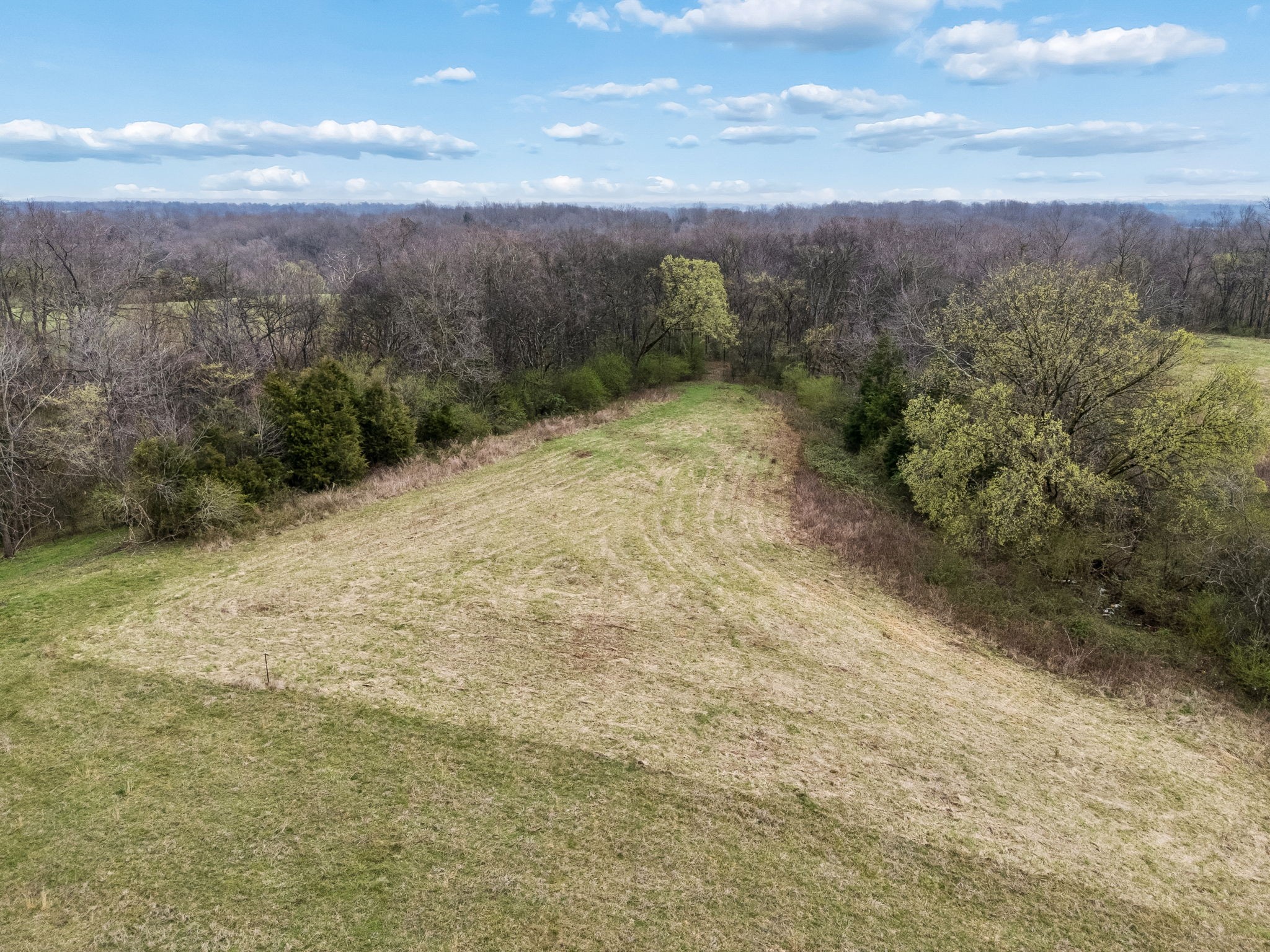 4094 Akin Ridge Road Williamsport, TN 38487 - Photo 23 of 94 Gallery Image 23