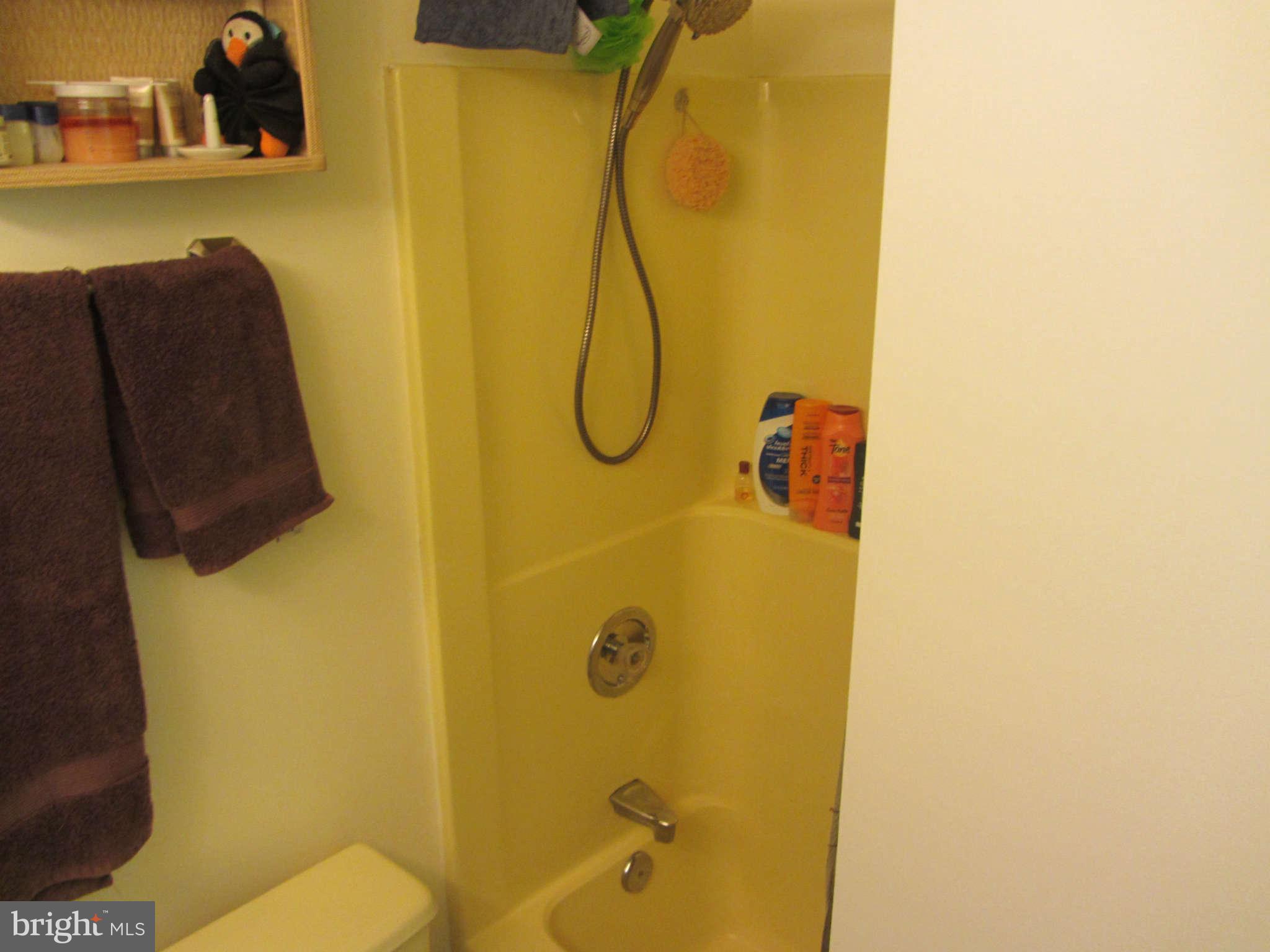 216 Burning Tree Road Lutherville-Timonium, MD 21093 - Photo 21 of 30 Bath (Master)