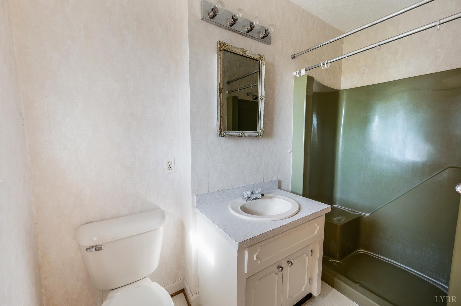1250 Lick Run Farm Road Forest, VA 24551 - Photo 23 of 74 a bathroom with a sink toilet and shower