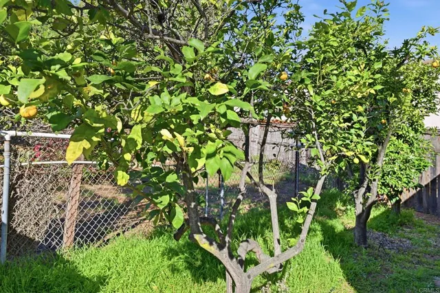 a view of a house with a garden