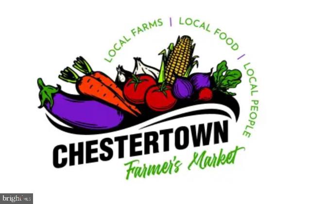 132 Prospect Street Chestertown, MD 21620 - Photo 19 of 20