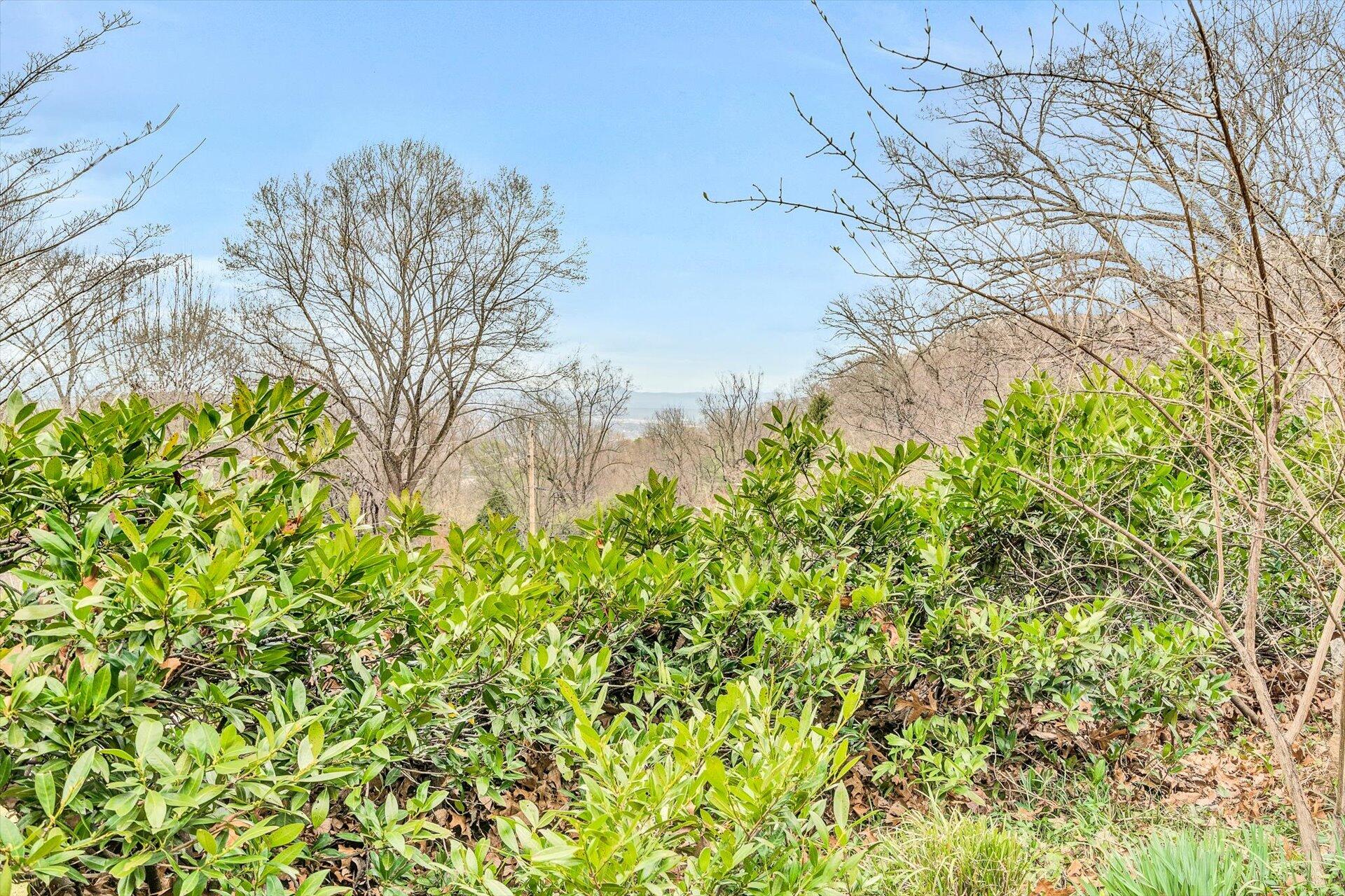 2402 Woodcliff Road Southeast Roanoke, VA 24014 - Photo 45 of 52 46-030720220114