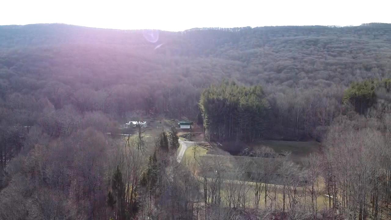 5851 Zenith Road Waiteville, WV 24984 - Photo 62 of 75 Gallery Image 62