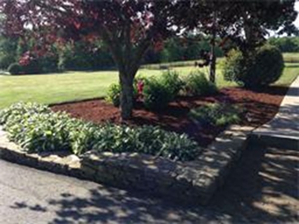 450 Scott Road Oakham, MA 01068 - Photo 13 of 15 a view of a yard with an outdoor space