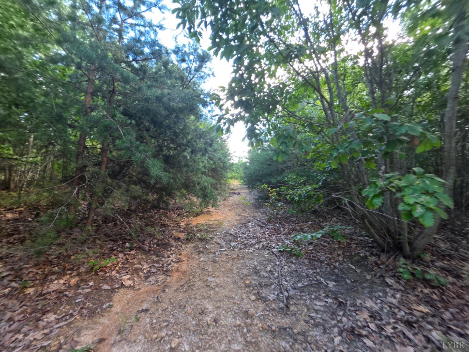 0 Eldon Road Appomattox, VA 24522 - Photo 2 of 8 a view of a forest with trees in the background
