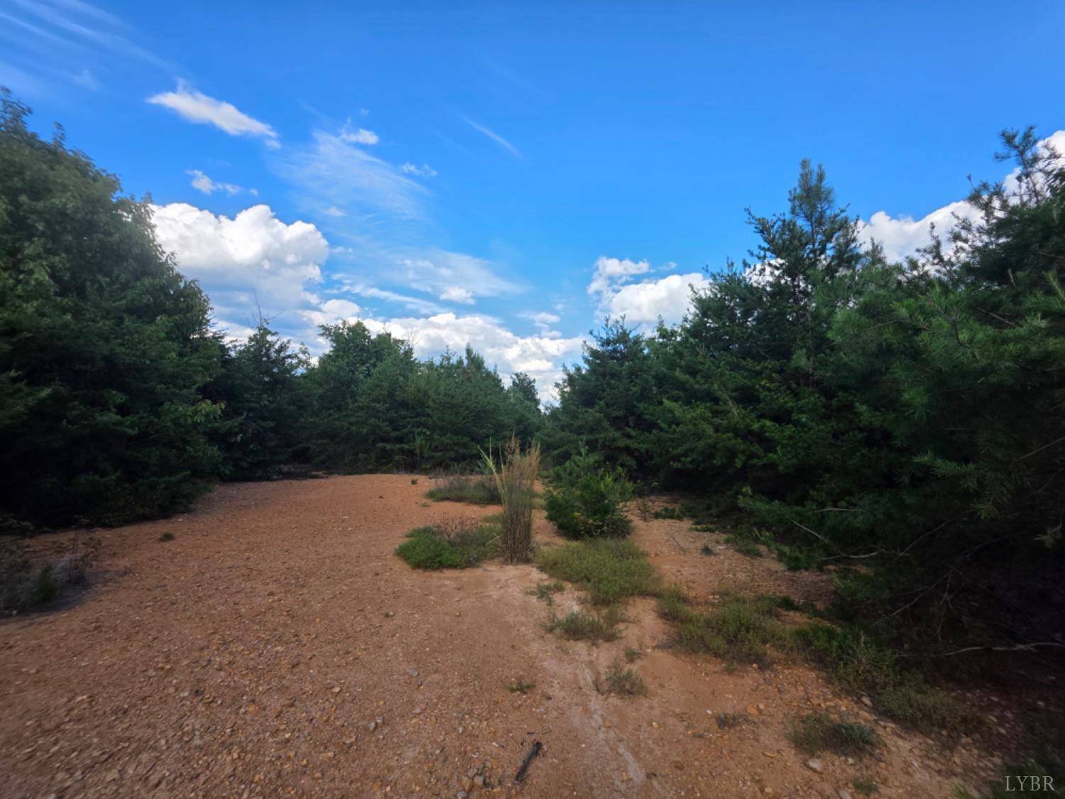0 Eldon Road Appomattox, VA 24522 - Photo 7 of 8 a view of outdoor space with trees all around
