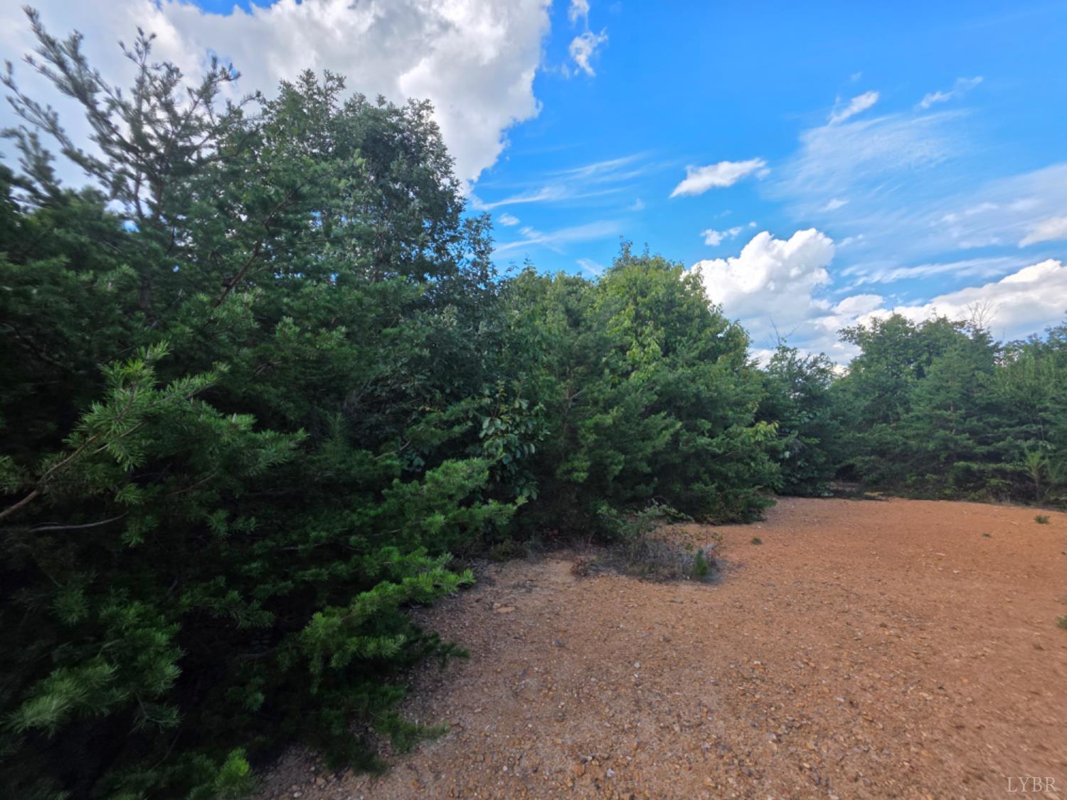 0 Eldon Road Appomattox, VA 24522 - Photo 8 of 8 a view of a forest with a tree