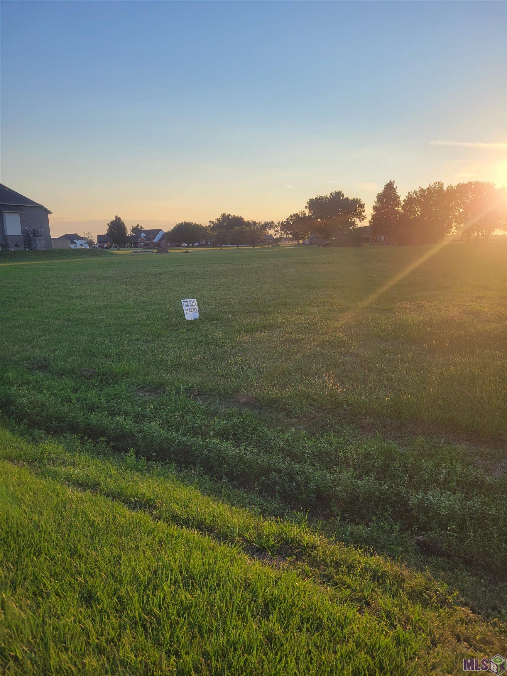 Lot 3 Col-van Street Raceland, LA 70394 - Photo 3 of 4