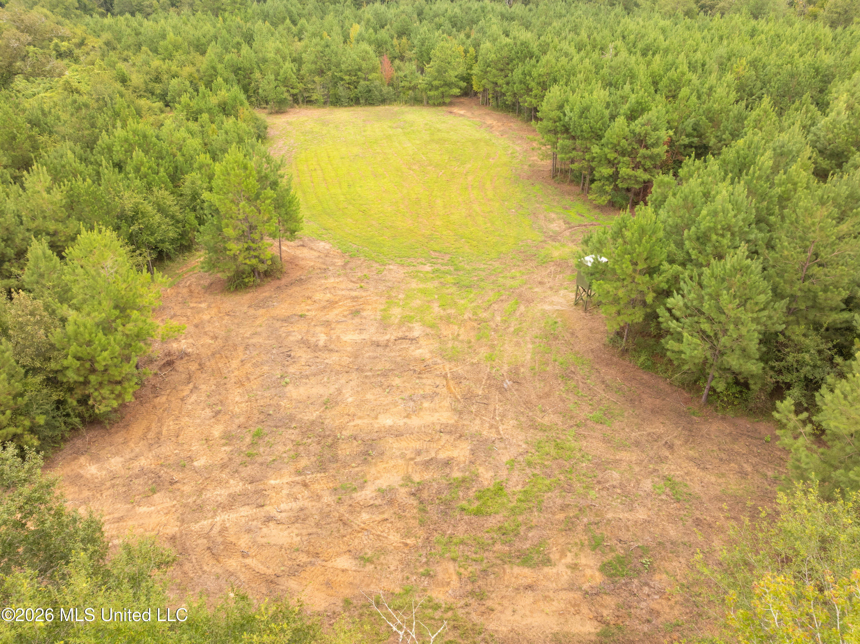 2705 Pilgrims Rest Road Magnolia, MS 39652 - Photo 66 of 68 2629_Pilgrims_Rest_Rd_Lot_3-24
