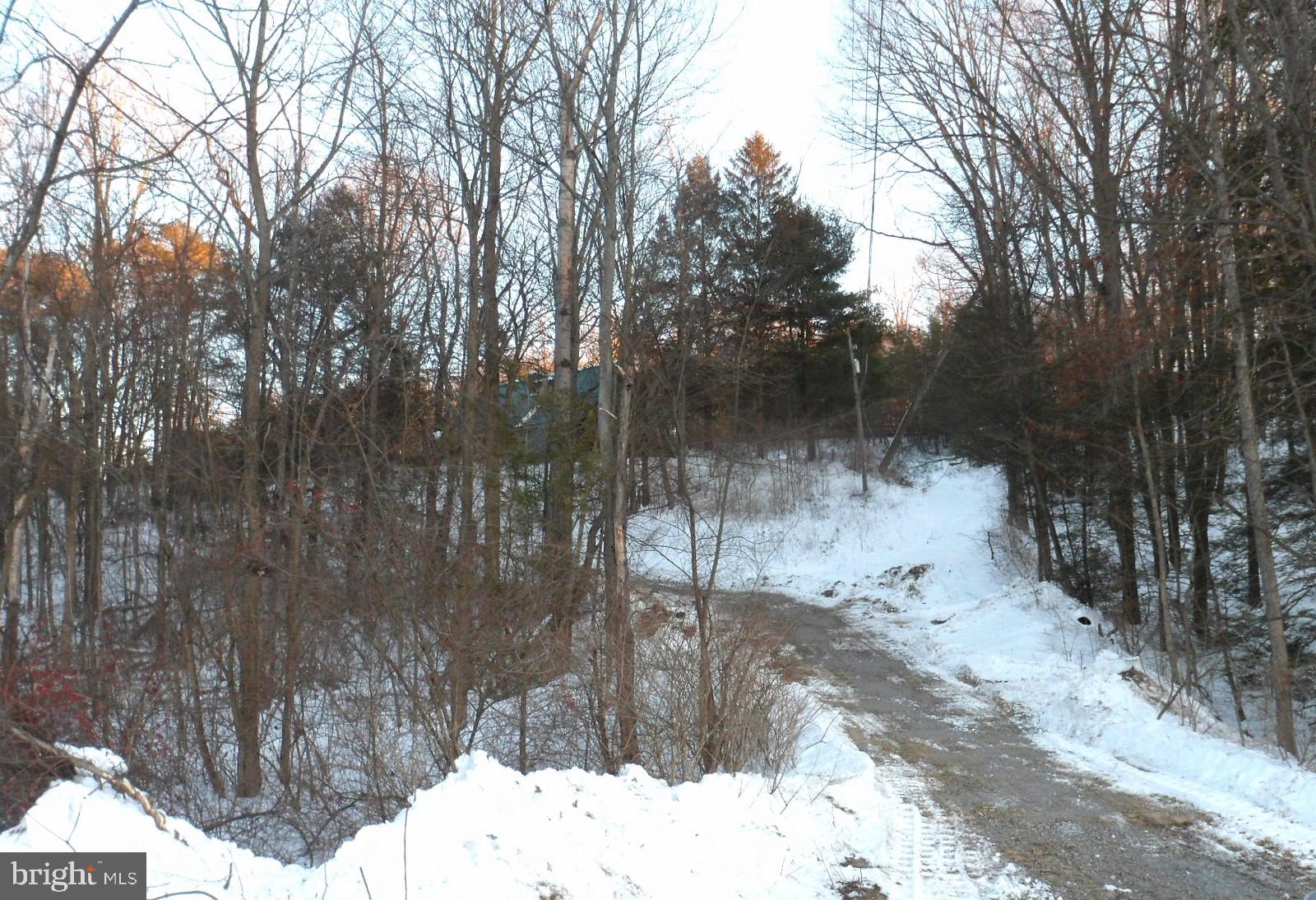 550 Greenhouse Road Middleburg, PA 17842 - Photo 26 of 26