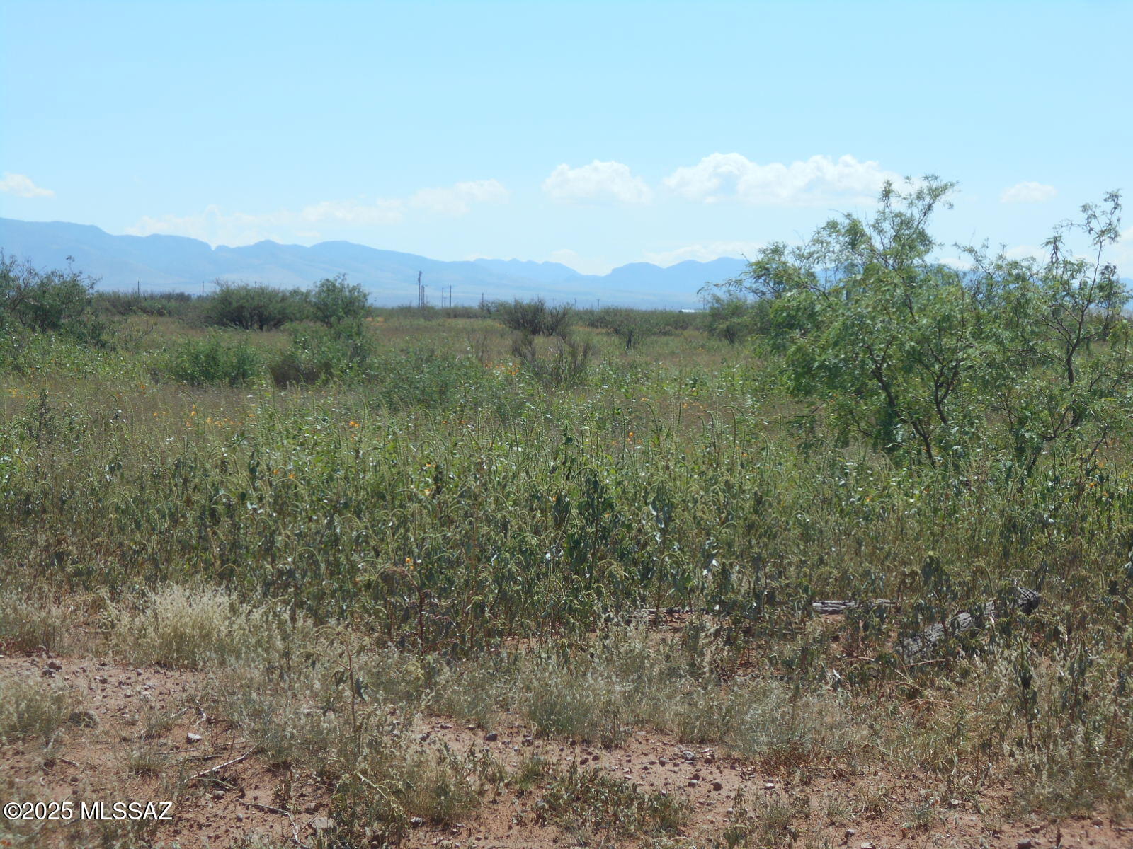 13242 Kit Carson Road Pearce, AZ 85625 - Photo 49 of 50