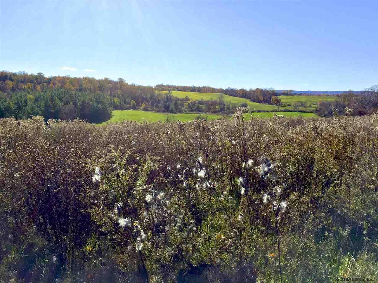 270 Fisk Hill Road Minden, NY 13339 - Photo 5 of 15 Photo 5