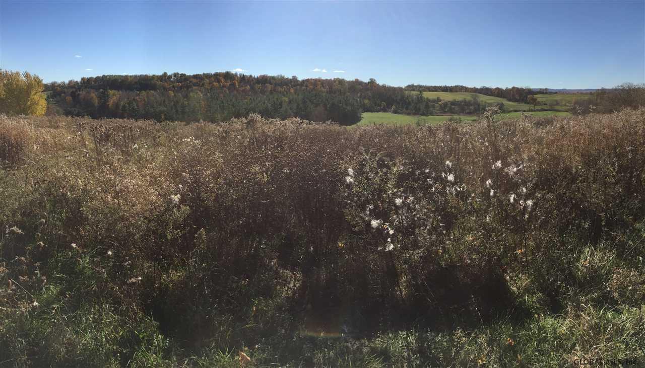 270 Fisk Hill Road Minden, NY 13339 - Photo 6 of 15 Photo 6