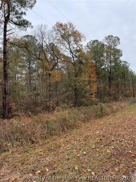 Porcelain Lane Maxton, NC 28364 - Photo 3 of 4