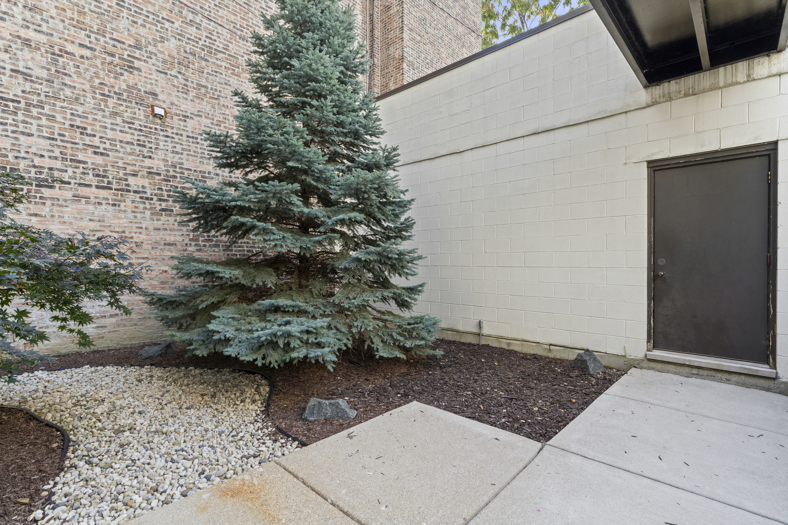 878 North Marshfield Avenue, Unit 1 Chicago, IL 60622 - Photo 23 of 26 a view of a backyard