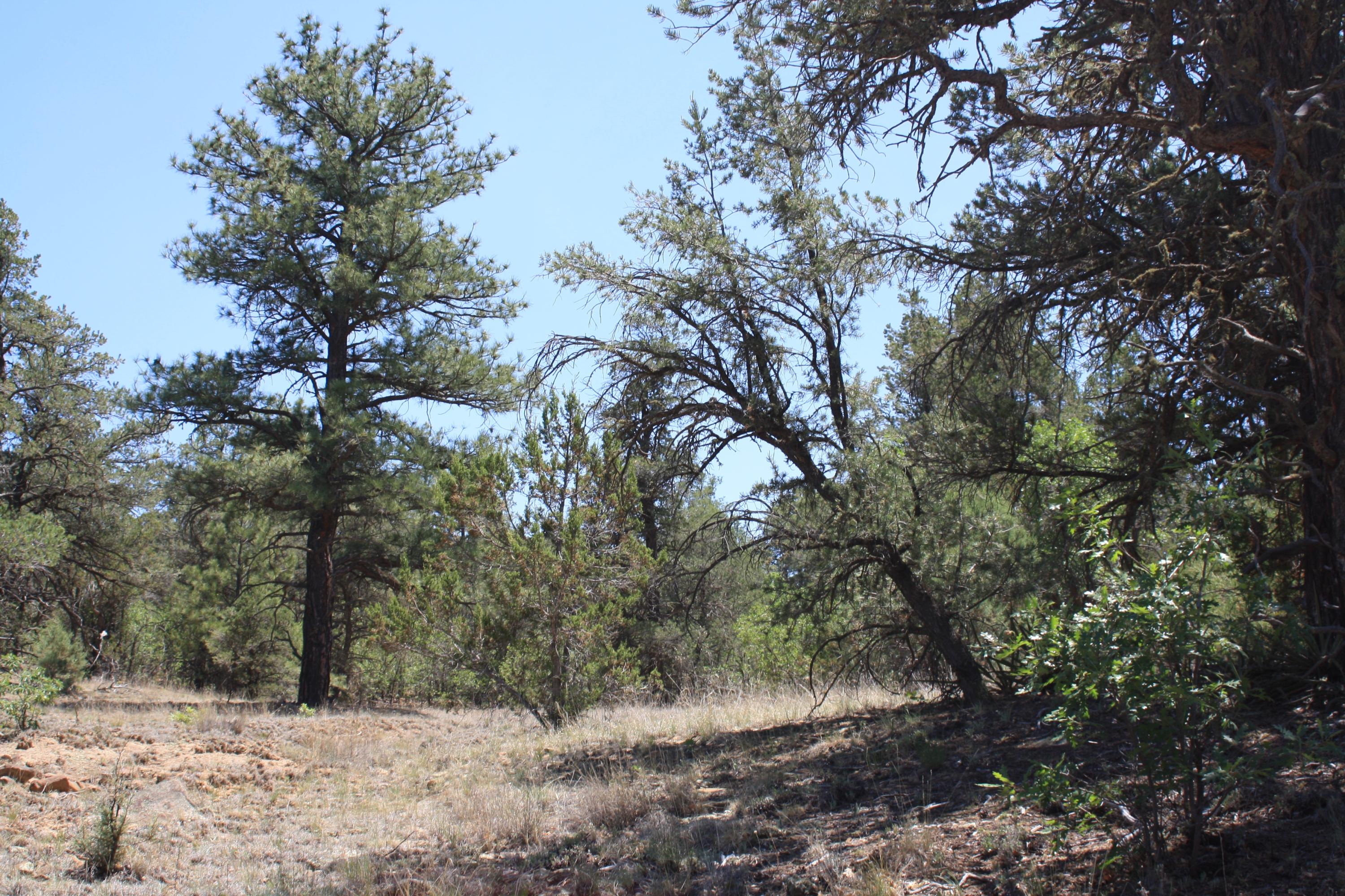 4-6 Bodean Road Ramah, NM 87357 - Photo 36 of 58 Gallery Image 36