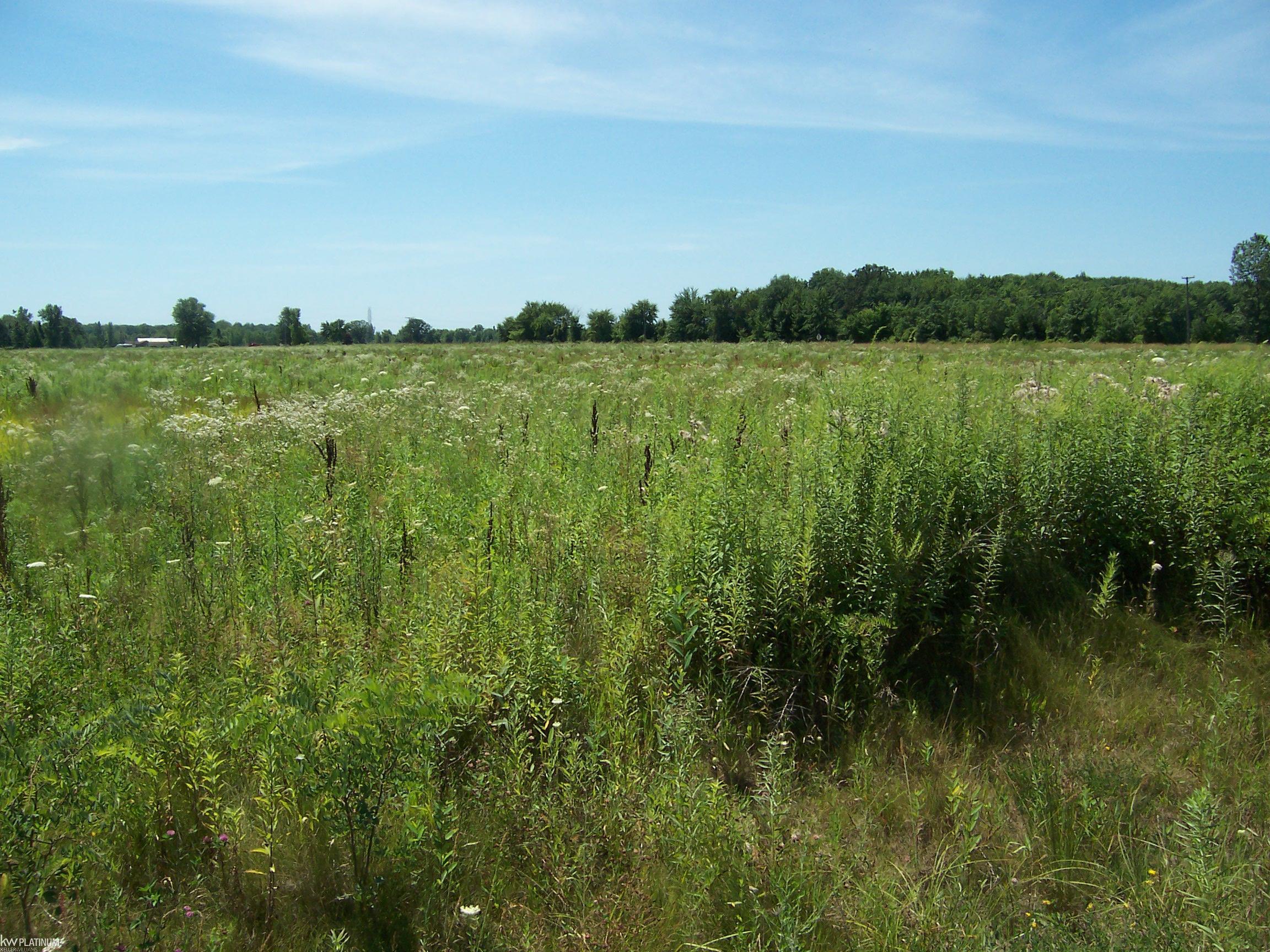 Lot B Masters Road Memphis, MI 48041 - Photo 1 of 2