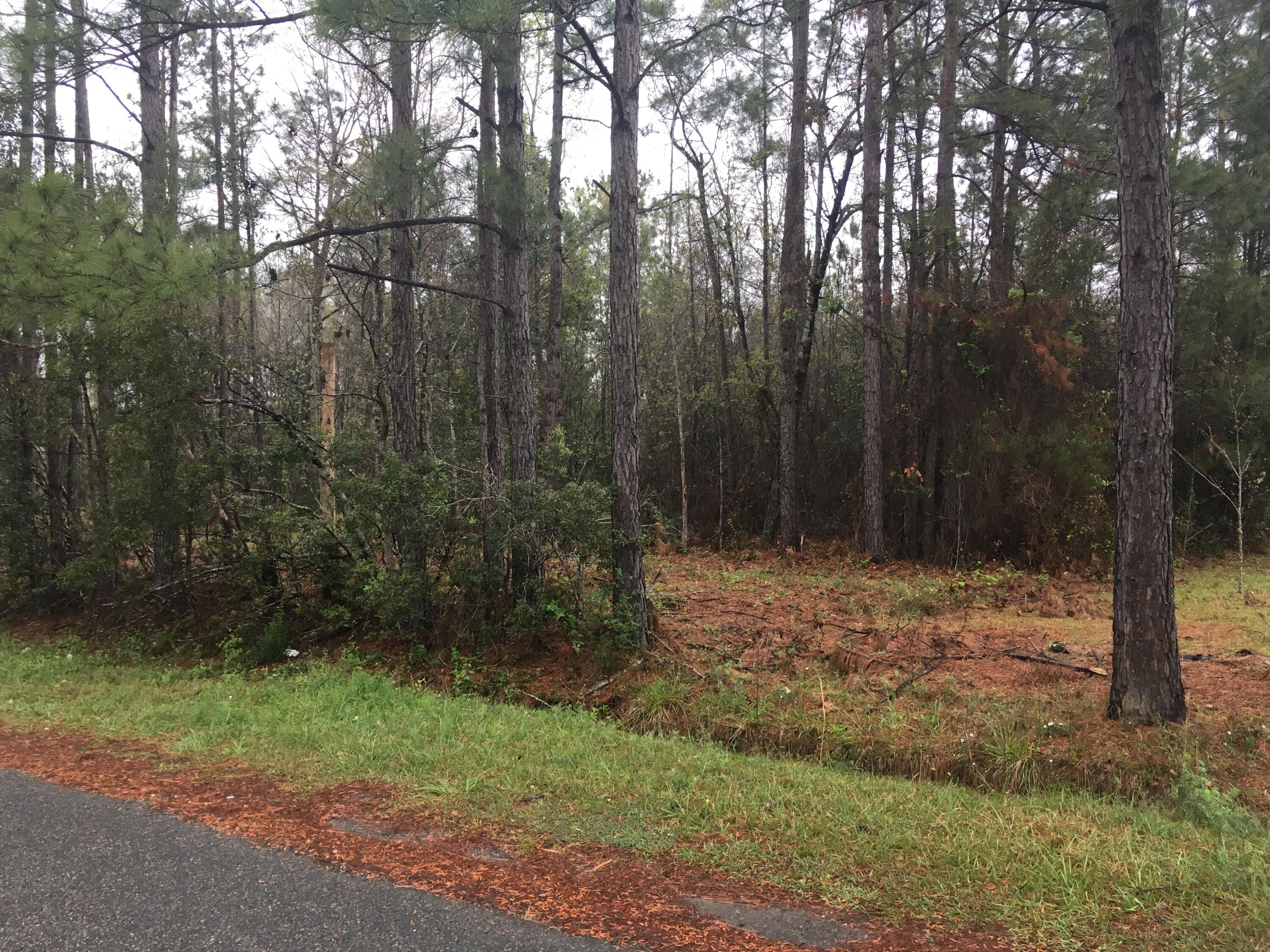 24 Deer Run Road Summerville, SC 29483 - Photo 1 of 1 Picture