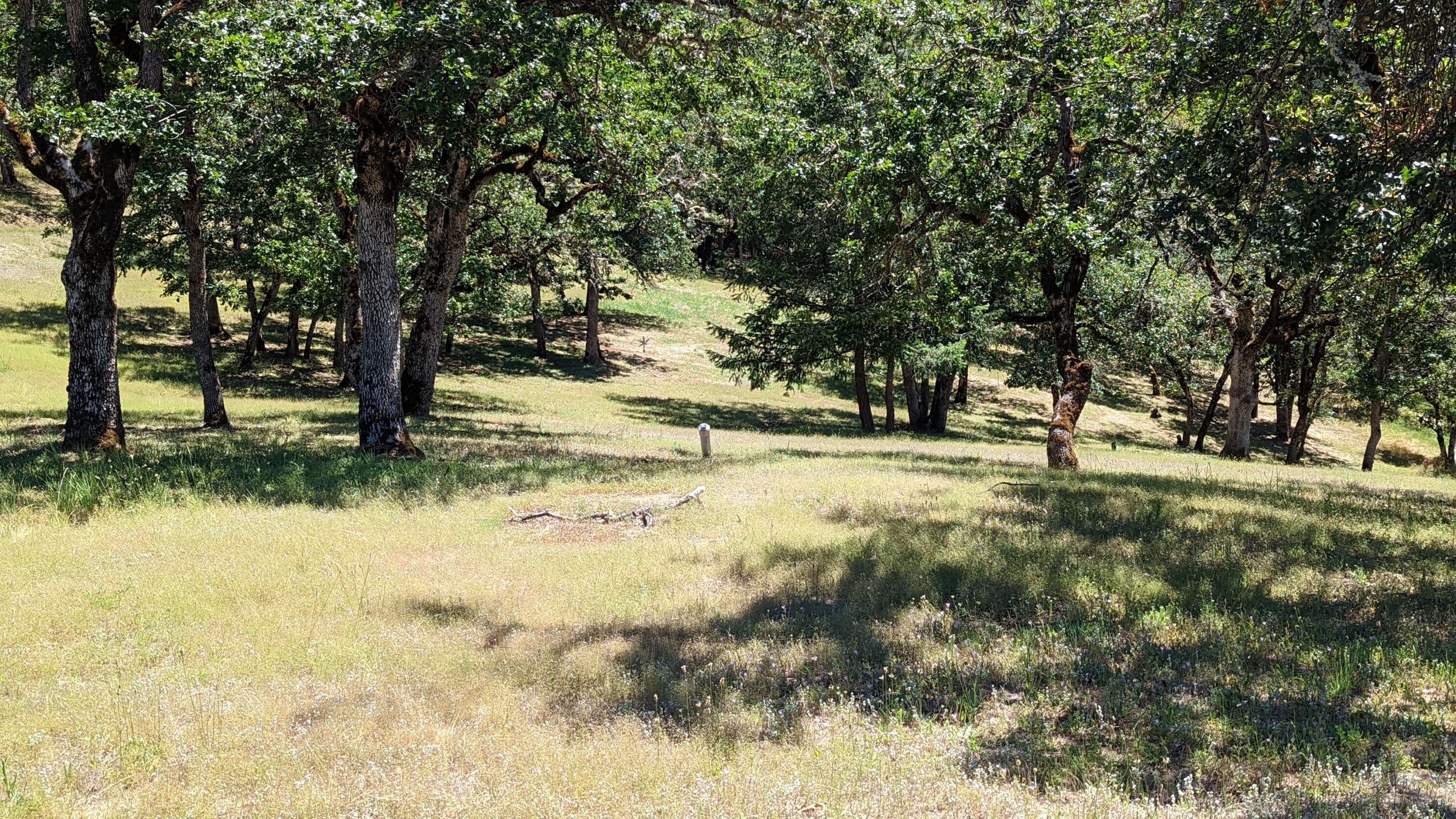 2105 Knowles Road Medford, OR 97501 - Photo 38 of 40 PXL_20220623_213534476