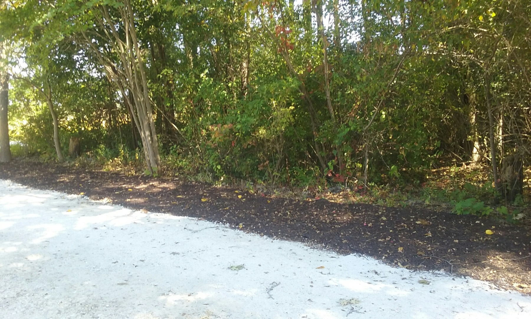 19109 Beck Road Marengo, IL 60152 - Photo 24 of 24