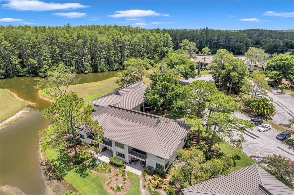 29147 Bay Hollow Drive, Unit 3224 Wesley Chapel, FL 33543 - Photo 60 of 89