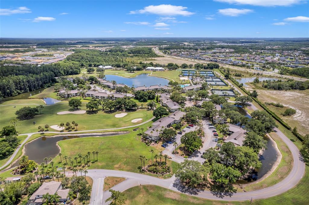 29147 Bay Hollow Drive, Unit 3224 Wesley Chapel, FL 33543 - Photo 70 of 89