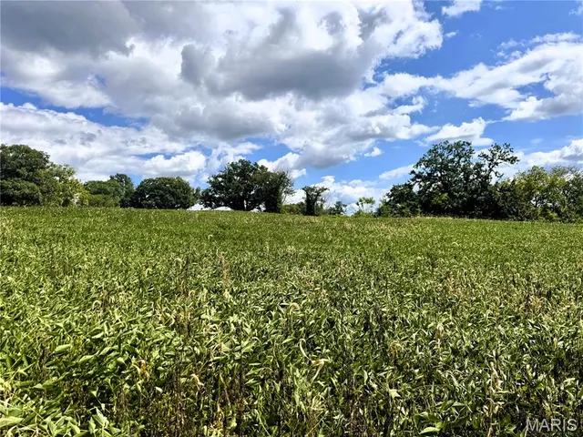 $730,250 | 0 Helmet Road, Newtown, MO 64667