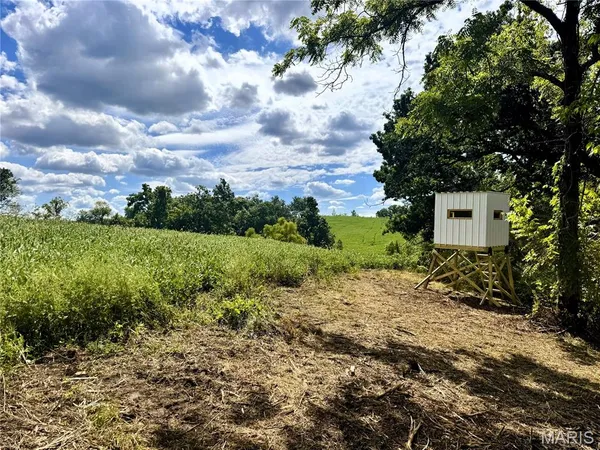 $725,516 | 0 Helmet Road, Newtown, MO 64667