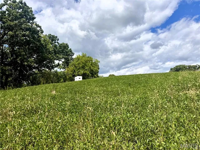 $730,250 | 0 Helmet Road, Newtown, MO 64667