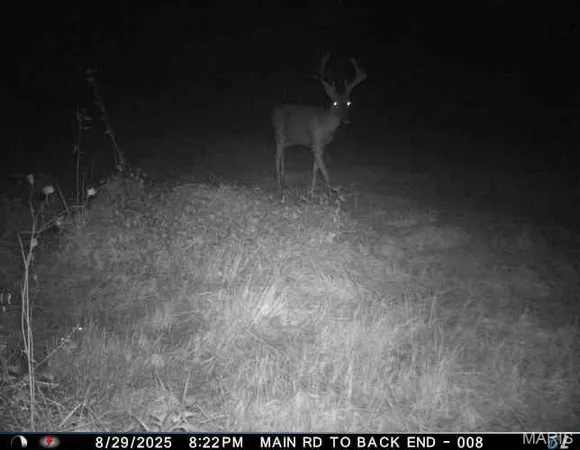 $725,516 | 0 Helmet Road, Newtown, MO 64667