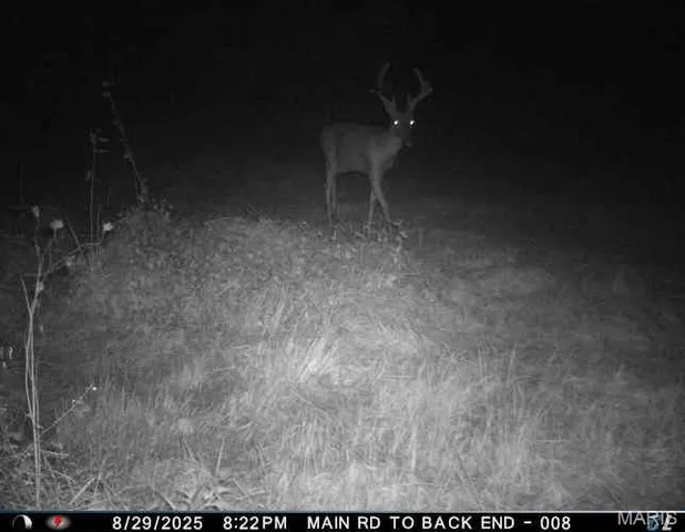 $730,250 | 0 Helmet Road, Newtown, MO 64667