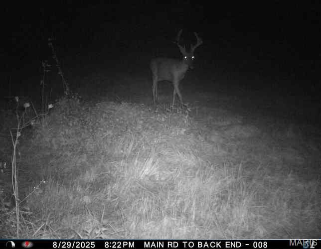 0 Helmet Road Newtown, MO 64667 - Photo 17 of 21