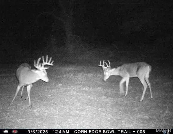 $725,516 | 0 Helmet Road, Newtown, MO 64667