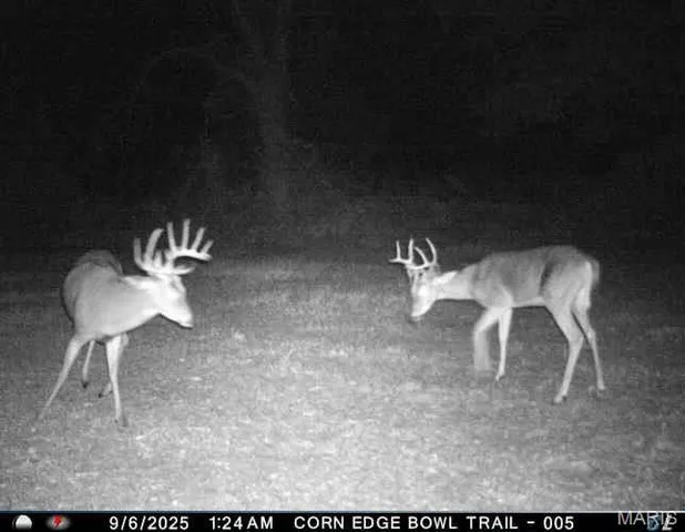 $730,250 | 0 Helmet Road, Newtown, MO 64667