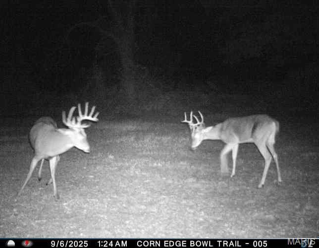 0 Helmet Road Newtown, MO 64667 - Photo 19 of 21