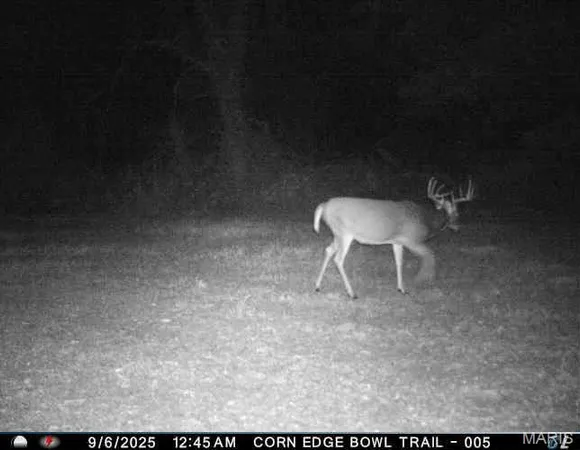 $725,516 | 0 Helmet Road, Newtown, MO 64667