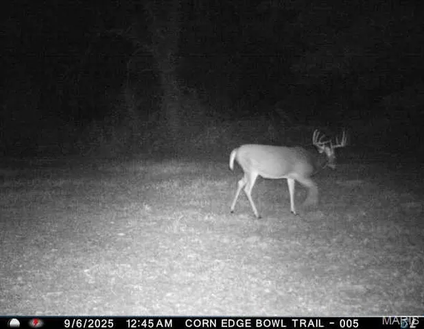 $730,250 | 0 Helmet Road, Newtown, MO 64667