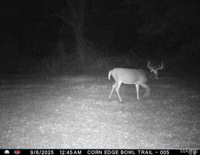 0 Helmet Road Newtown, MO 64667 - Photo 20 of 21