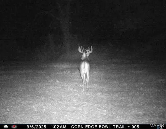 $725,516 | 0 Helmet Road, Newtown, MO 64667