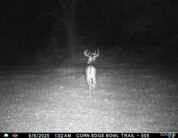 $730,250 | 0 Helmet Road, Newtown, MO 64667