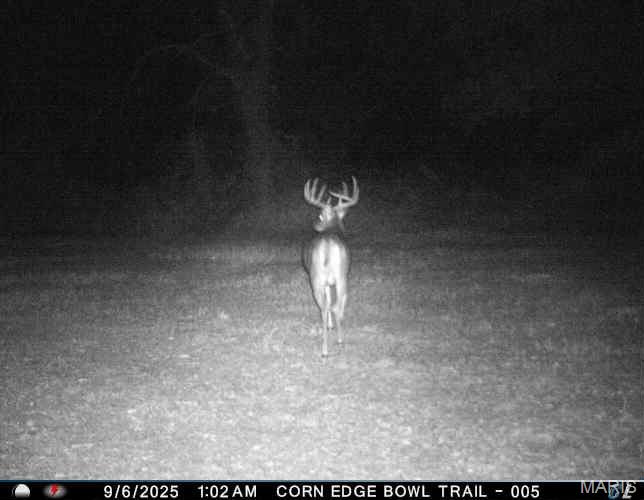 0 Helmet Road Newtown, MO 64667 - Photo 21 of 21