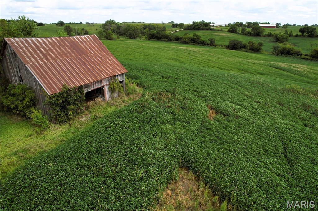 0 Helmet Road Newtown, MO 64667 - Photo 3 of 21