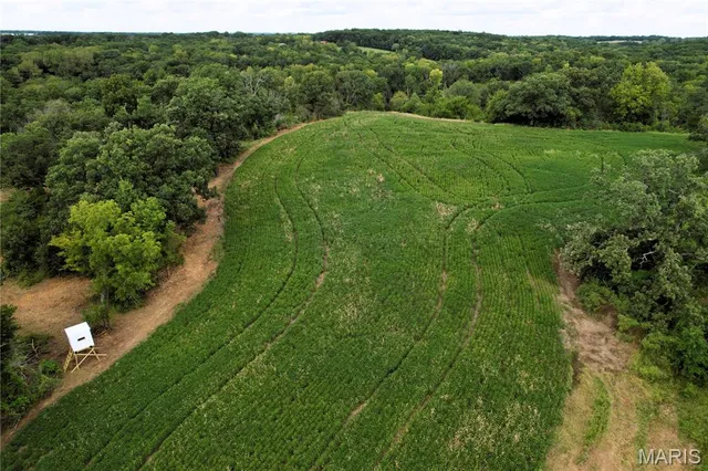 $730,250 | 0 Helmet Road, Newtown, MO 64667