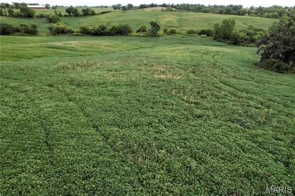 $725,516 | 0 Helmet Road, Newtown, MO 64667