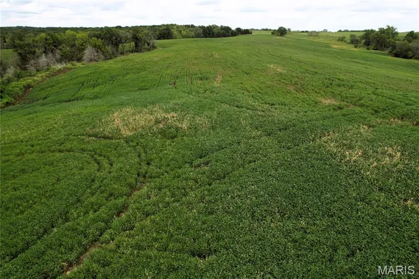 $725,516 | 0 Helmet Road, Newtown, MO 64667