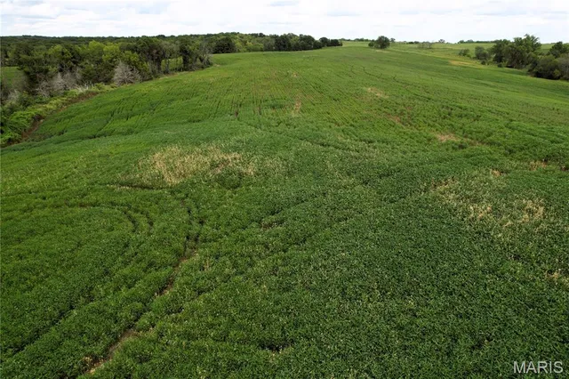 $730,250 | 0 Helmet Road, Newtown, MO 64667