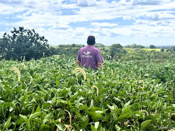 $725,516 | 0 Helmet Road, Newtown, MO 64667