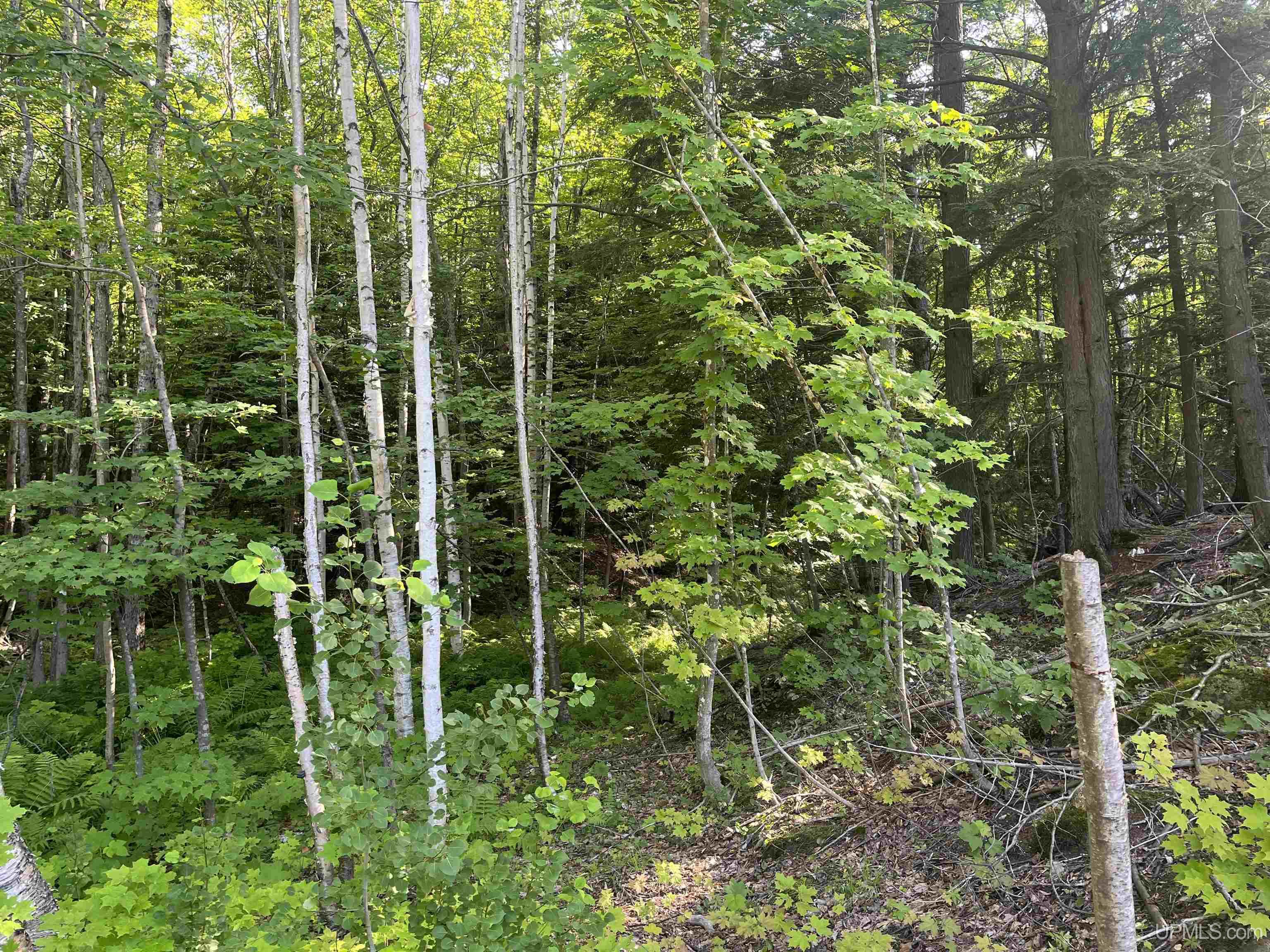 510 Rd Ishpeming Mi 49849 Road Negaunee, MI 49866 - Photo 12 of 33