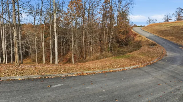 $39,900 | 481 Hidden Forest Trail Spring, Spring City, TN 37381